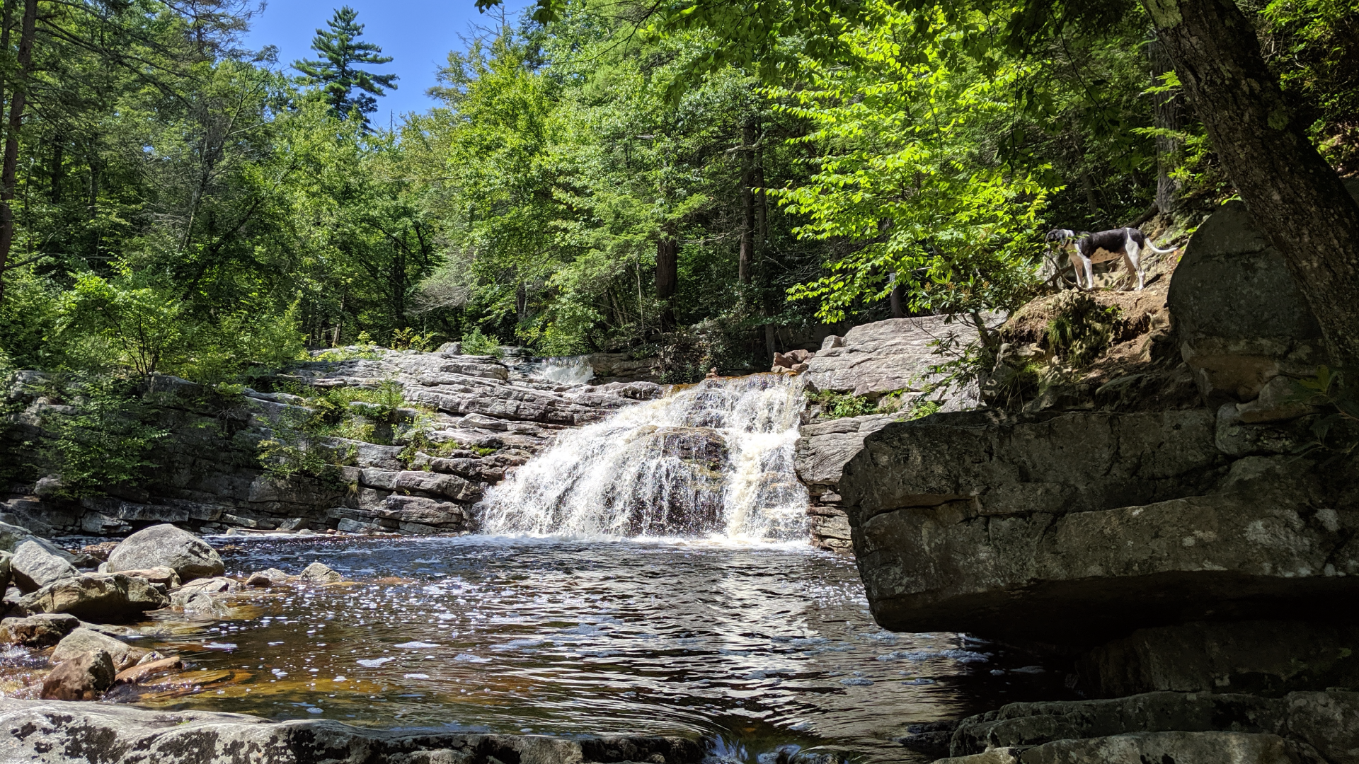 ulster county real estate